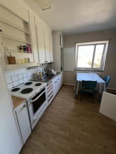 Kuchyň nebo kuchyňský kout v ubytování Uddeholm Apartment