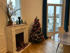 einen Weihnachtsbaum im Wohnzimmer mit Kamin in der Unterkunft LE PALAIS DE LEO Luxury Apt Epernay Hyper center 4P Balcony AC in Épernay