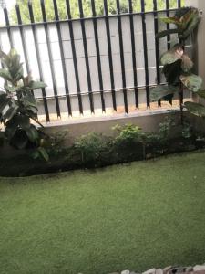 a fence with green grass and a plant next to it at Duplex in Tableview in Cape Town
