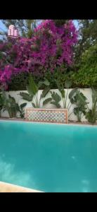 Gallery image of Villa Hammamet sud in Hammamet Sud