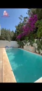 Swimmingpoolen hos eller tæt på Hammamet