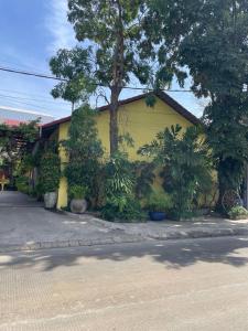 a yellow building with plants on the side of it at Maam Guesthouse in Phnom Penh