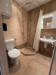 Et badeværelse på Lucky SP apartments -Pamporovo