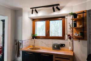 a bathroom with a sink and a window at Villa Octogon Câmpina in Campina +78 photos