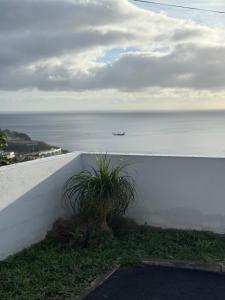 Naturlandskabet i nærheden af lejligheden