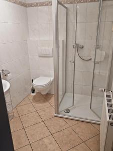 a bathroom with a shower and a toilet at Landhaus am Brubbel in Wallenborn