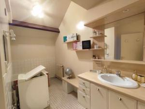 ein Badezimmer mit Waschbecken und Spiegel in der Unterkunft Le Duplex du Marche-centre-parking prive-balcon in Châteauroux + 13 Fotos