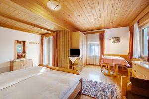 TV a/nebo společenská místnost v ubytování Gasthof Kirchsteiger