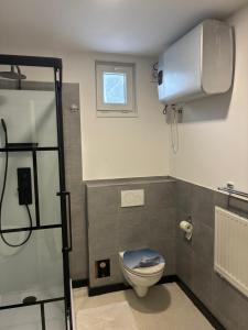 a bathroom with a toilet and a window at Bedřichov Jaroš in Bedřichov +22 photos