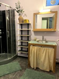 ein Badezimmer mit Waschbecken und Dusche mit Spiegel in der Unterkunft Maison à 5mn de Honfleur in Fourneville