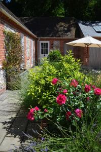 En have udenfor Stonehenge Wellness + 46 billeder