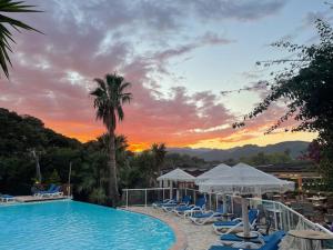 a pool with chairs and a palm tree and a sunset at Residence Fium Del Cavo in Sainte-Lucie de Porto-Vecchio