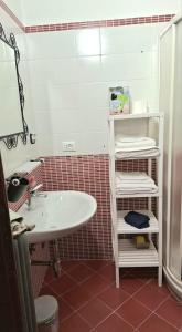 a bathroom with a sink and a shelf with towels at Le Tre Civette in Alfedena +22 photos