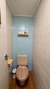 bagno con servizi igienici e parete blu di Flor de Hielo a Candanchú Altre 7 foto