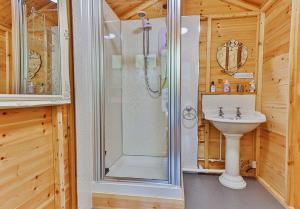 un bagno con doccia e lavandino di Apple Blossom a Alkborough