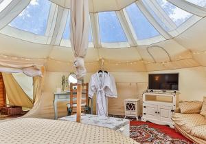 una camera da letto con tenda, letto e TV di Apple Blossom a Alkborough