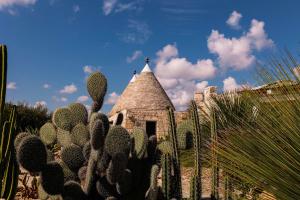 an old building with a cactus in front of it at Regina di Ulivi in Ostuni