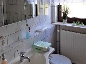 een badkamer met een wastafel, een toilet en een spiegel bij Ferienwohnung Frischkorn in Steinau an der Straße