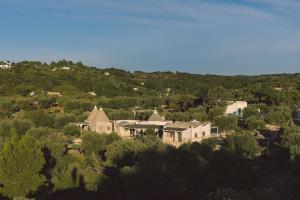 an aerial view of a house on a hill at Regina di Ulivi in Ostuni +149 photos