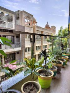 Vườn quanh The Five D