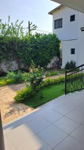 En have udenfor Secret Garden