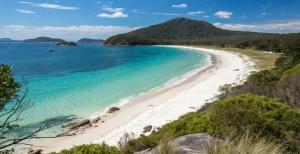 een uitzicht op een strand met mensen in het water bij Saltbush Retreat in Nelson Bay