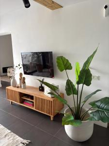een woonkamer met een tv en een potplant bij Casa Mila in Lajares