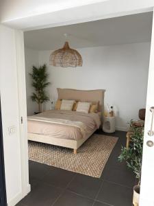 een slaapkamer met een bed en een potplant bij Casa Mila in Lajares