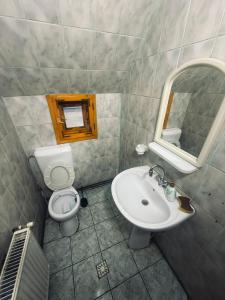 une salle de bains avec lavabo, toilettes et miroir dans l'établissement Cabana Valea Lungă, à Telcişor