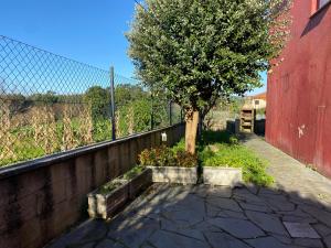 ein Baum in einem Garten neben einem Zaun in der Unterkunft Casa Rosiña in Campo Lameiro