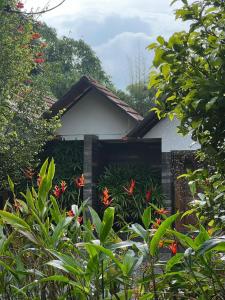 Φυσικό τοπίο κοντά σε αυτό το δωμάτιο σε οικογενειακή κατοικία