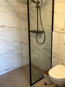 a shower in a bathroom with a toilet at B&B de Landstreek in Hulten +16 photos