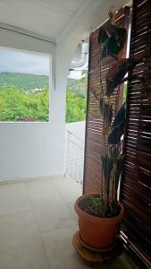 Balkón nebo terasa v ubytování La Buse