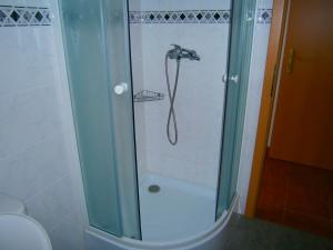 y baño con ducha y puerta de cristal. en Penzion Andrea, en Velké Bílovice