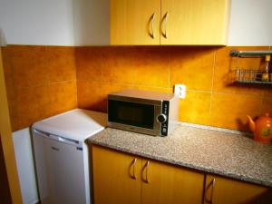 a microwave sitting on top of a counter in a kitchen at Penzion Andrea in Velké Bílovice