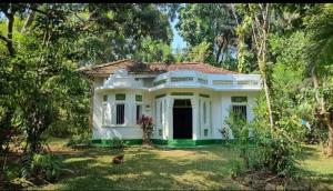 a white house with a dog sitting in front of it at Brenley B Bungalow in Talalla South