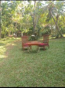 Κήπος έξω από το The Mud House