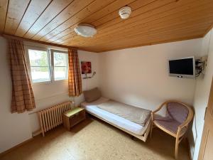 Μια τηλεόραση ή/και κέντρο ψυχαγωγίας στο Hotel Steinbock