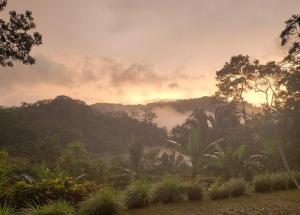 Phong cảnh thiên nhiên gần biệt thự +21 ảnh