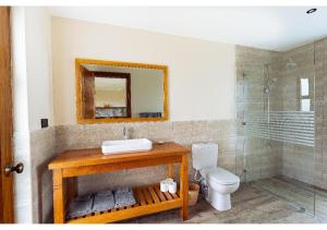 a bathroom with a sink and a toilet and a mirror at Inchorroi Cottages - champagne ridge in Oloyaingalani