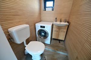 un piccolo bagno con lavatrice e servizi igienici di FLH - Vila Dominik a Sibiu Altre 38 foto