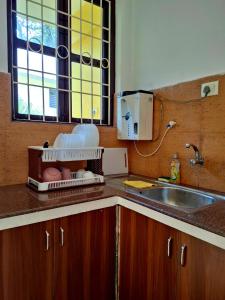 een aanrecht met een wastafel en een mixer bij Casa de Palmora 104 in Canacona