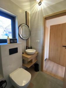 a bathroom with a toilet and a sink and a mirror at Royal Hill Bran-A-Frame and Bungalows whit Hot Tub and Sauna in Sohodol +127 photos