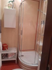 a shower with a glass door in a bathroom at Appartment with Spa in Vienna