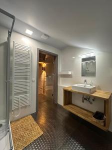een badkamer met een wastafel en een douche bij Resort Papírna50 in Lauterwasser