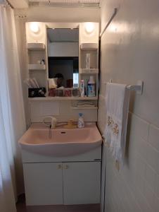 ein Badezimmer mit Waschbecken und Spiegel in der Unterkunft 憩の家丸々貸し in Okazaki