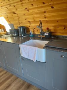 a kitchen with a sink and a wooden wall at Mill House Farm Pods- Jackdaws Den in Pilling
