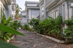 een geplaveide straat voor een gebouw met planten bij Golden Horizon 3Bhk Villa with Pvt Pool in Saligao in Vagator
