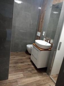 Un baño con lavabo, inodoro y espejo. en Willa Julia-pokoje w centrum, ogród, sauna, grill, en Ustroń 30 fotos más