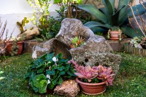 een tuin met een rots en enkele planten bij affittacamere S'Ortensia in Mamoiada +89 foto's